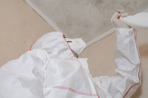 Biohazard Mold Removal in Burnham, PA